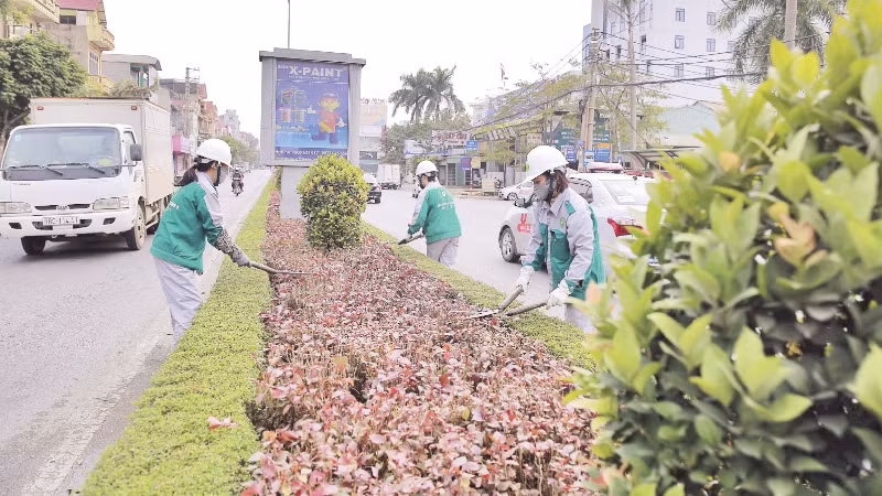 Nhân viên Công ty cổ phần Môi trường và Công trình đô thị Phúc Yên chăm sóc cây hoa đường phố.