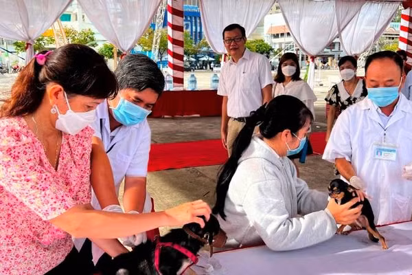 Tiêm ngừa vaccine trên vật nuôi để phòng bệnh dại. (Ảnh: HOÀNG TRUNG)