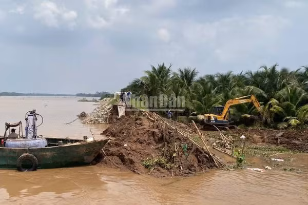 Sạt lở đê bao làm nước tràn vào gây ngập vườn cây ăn quả của người dân cồn Cái Gà, xã Chợ Lách, tỉnh Vĩnh Long. (Ảnh: HOÀNG TRUNG)