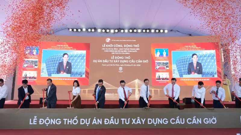 dong-tho-cau-can-gio-455.jpg