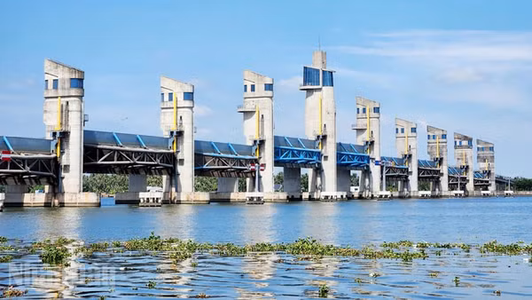 Cống Cái Lớn chủ động vận hành phục vụ sản xuất và sinh hoạt của người dân.