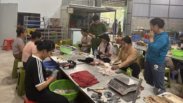 Lực lượng chức năng kiểm tra cơ sở sản xuất, chế biến chân gà tại thôn Bản Phạc, xã Quốc Khánh, tỉnh Lạng Sơn. (Ảnh: ANH KHOA)