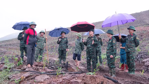 Lực lượng quân sự tỉnh Lạng Sơn sẵn sàng ứng phó với các tác động của bão Maysak. (Ảnh tư liệu)
