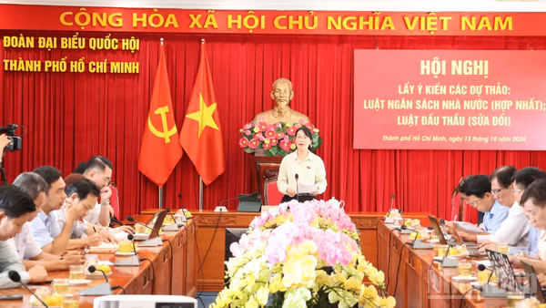 Bà Trần Thị Diệu Thúy, Phó Trưởng đoàn chuyên trách Đoàn đại biểu Quốc hội khóa XVI Thành phố Hồ Chí Minh phát biểu tại hội nghị. (Ảnh: Vương Lê)