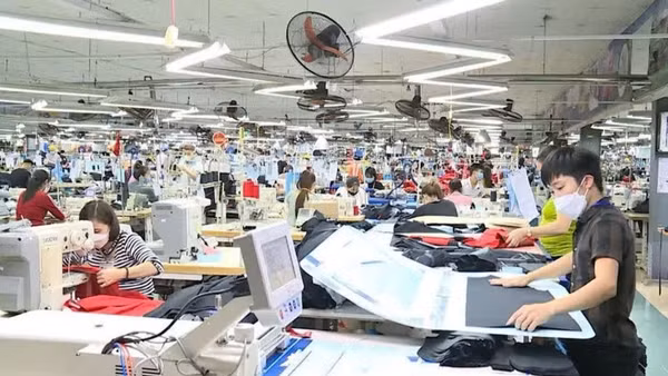 Vai trò của doanh nghiệp trong chuyển đổi xanh và kiến tạo bền vững.