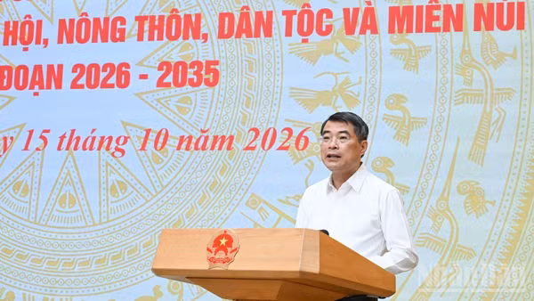 Thủ tướng Chính phủ Lê Minh Hưng phát biểu ý kiến kết luận hội nghị. (Ảnh: TRẦN HẢI)