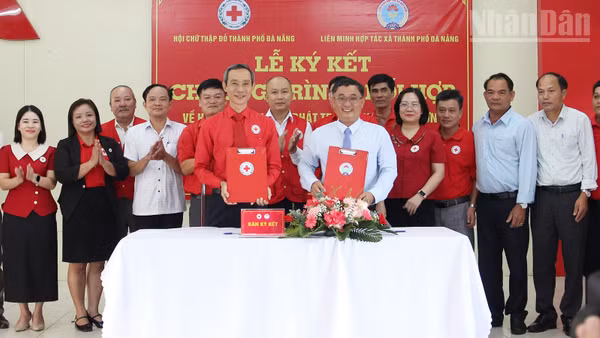Hai đơn vị ký kết phối hợp giai đoạn 2026-2031. (Ảnh: THANH TÂM)
