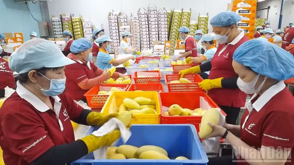 Kinh tế tư nhân là “một động lực quan trọng của nền kinh tế thị trường định hướng xã hội chủ nghĩa”. (Ảnh: THANH PHONG)