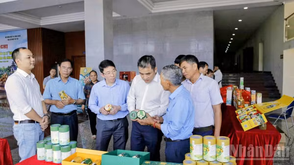 Việc mở rộng chỉ dẫn địa lý không chỉ góp phần bảo vệ danh tiếng đặc sản nhãn lồng, mà còn tạo cơ sở nâng cao giá trị kinh tế, sức cạnh tranh của sản phẩm. (Ảnh: MAI TÚ)
