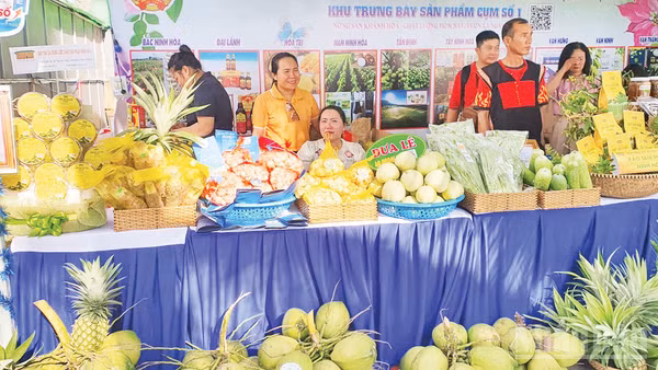 Nông sản sau thu hoạch được các doanh nghiệp, hợp tác xã trên địa bàn tỉnh Khánh Hòa phân loại, dán tem truy xuất nguồn gốc, trưng bày giới thiệu với người tiêu dùng. (Ảnh: NGUYỄN TRUNG)