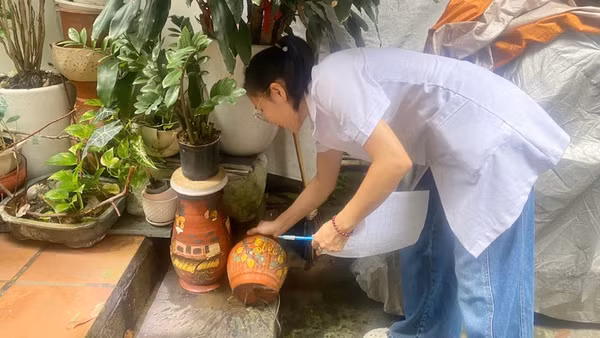 Cán bộ y tế giám sát chỉ số véc-tơ truyền bệnh sốt xuất huyết tại cộng đồng trên địa bàn thành phố Hà Nội. (Ảnh: DUY TUÂN)