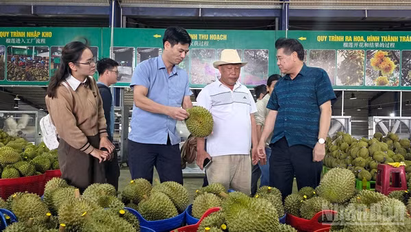 Giám đốc Trung tâm Khuyến nông quốc gia Lê Quốc Thanh (bìa phải) cùng đại biểu thực tế tại cơ sở đóng gói Công ty Trách nhiệm hữu hạn Thương mại Sản xuất Long Thủy, tỉnh Lâm Đồng. (Ảnh: BẢO VĂN)