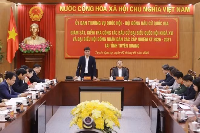 Đồng chí Bùi Quang Huy phát biểu tại buổi làm việc với tỉnh Tuyên Quang.