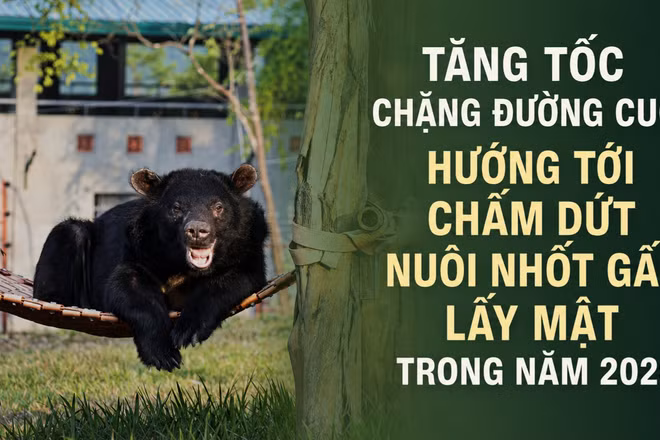 Ảnh thiết kế có yếu tố AI. 