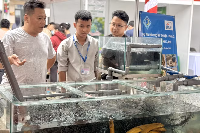 Thành viên nhóm nghiên cứu giới thiệu về mô hình nuôi lươn trong hệ thống tuần hoàn và hệ thống đo cảm biến môi trường, tại gian hàng của Cơ quan Hợp tác quốc tế Nhật Bản. (Ảnh: JICA)