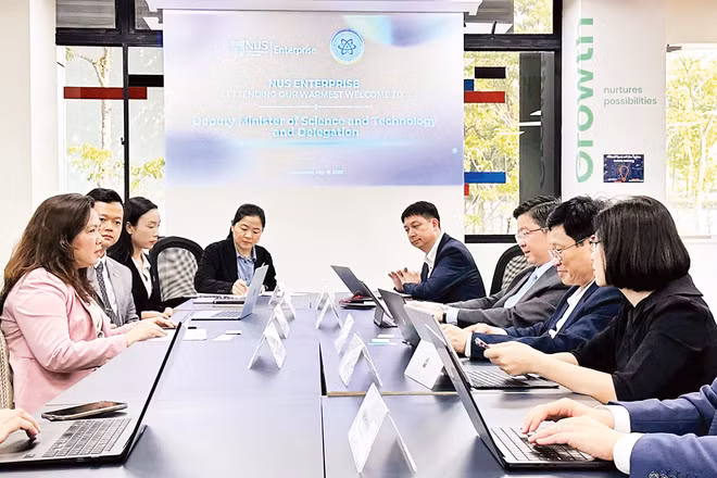 Hoạt động trao đổi về hợp tác đổi mới sáng tạo Việt Nam-Singapore. (Ảnh: Bộ Khoa học và Công nghệ Việt Nam)