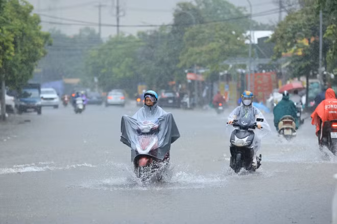 (Ảnh minh họa: THÀNH ĐẠT)