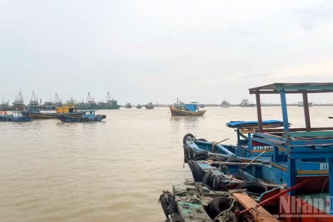 Công tác ứng phó bão số 13 được triển khai khẩn trương, đồng bộ tại các địa phương ven biển Lâm Đồng.