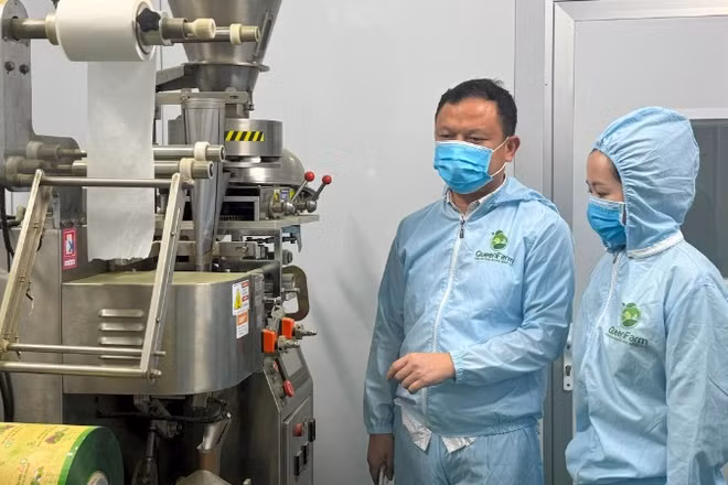 Dây chuyền đóng gói trà matcha của anh Trần Văn Tân (Thanh Hóa).