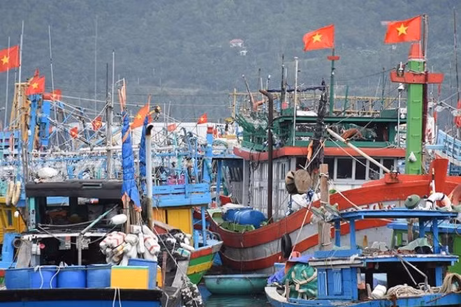 Sắc đỏ lá cờ Tổ quốc trên tàu cá đang neo đậu tại Âu thuyền cảng cá Thọ Quang. (Ảnh: ANH ĐÀO)