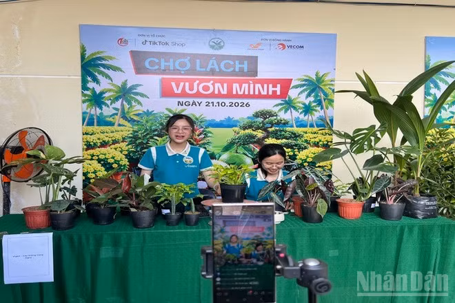 Người dân livestream quảng bá sản phẩm cây giống Chợ Lách. (Ảnh: HOÀNG TRUNG)