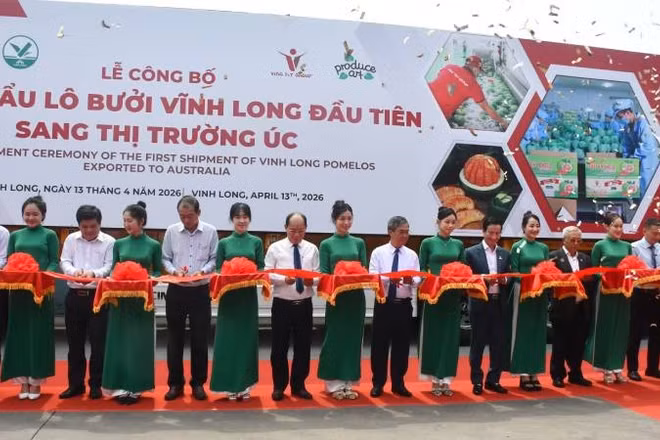 Đại biểu tham dự thực hiện nghi thức cắt băng công bố xuất khẩu lô bưởi Vĩnh Long đầu tiên sang thị trường Australia.