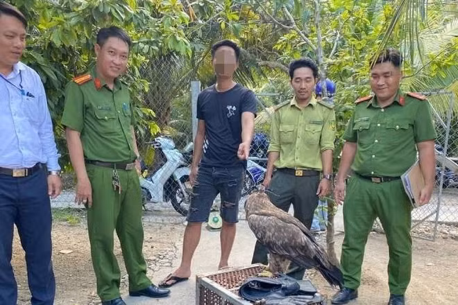 Lực lượng chức năng phát hiện một trường hợp nuôi nhốt động vật rừng trái quy định. (Ảnh: Công an phường Sơn Đông)
