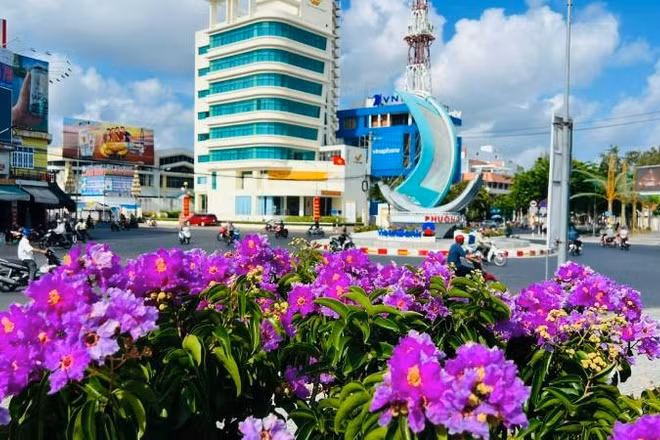 Trung tâm đô thị phường An Hội (tỉnh Vĩnh Long) rực rỡ trong sắc hoa tím bằng lăng.