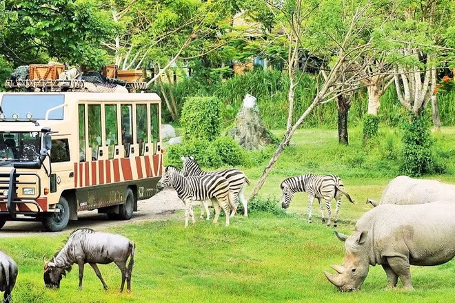 Khung cảnh trong Công viên FLC ZOO Safari. (Ảnh: Công ty Du lịch Việt)