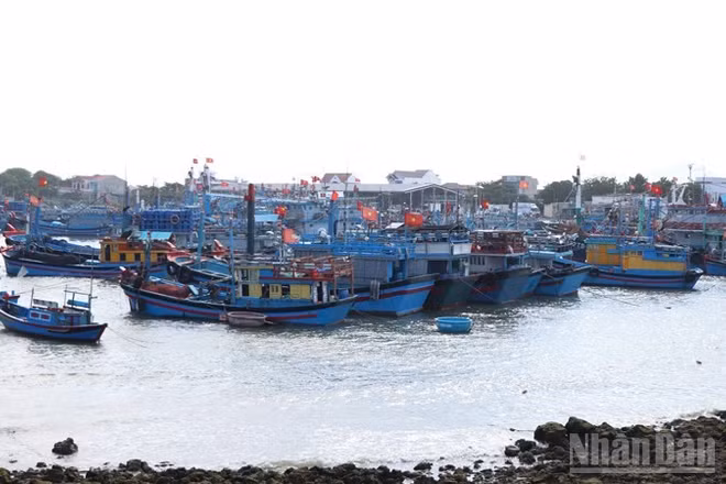 Tỉnh Khánh Hòa đang quản lý hơn 5.120 tàu cá, tuy nhiên số lượng tàu cá nhỏ, hành nghề khai thác hải sản gần bờ còn khá nhiều. (Ảnh: NGUYỄN TRUNG)