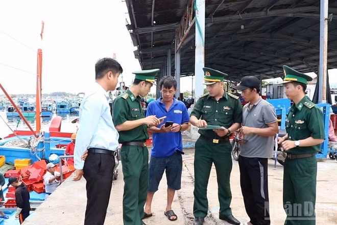 Các cơ quan chức năng và chính quyền địa phương tỉnh Khánh Hòa siết chặt quản lý, xử lý nghiêm mọi hành vi vi phạm, hướng tới mục tiêu cùng cả nước sớm gỡ bỏ cảnh báo “thẻ vàng” IUU. (Ảnh: NGUYỄN TRUNG)