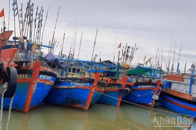 Vùng neo đậu tàu tại cảng cá Đông Hải, tỉnh Khánh Hòa, đã thu hẹp nhiều do bị cát đất bồi lắng nhiều năm qua. (Ảnh: NGUYỄN TRUNG)