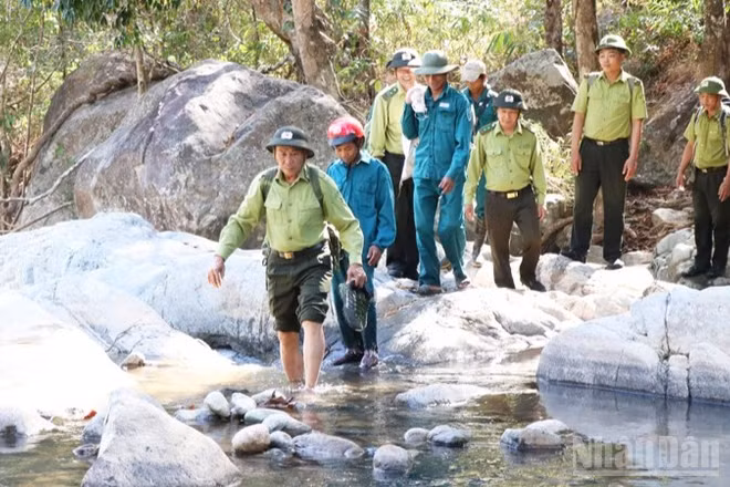 Lực lượng Hạt Kiểm lâm rừng đặc dụng Phước Bình, ở xã Bác Ái Tây (Khánh Hòa) xuất quân tuần tra, bảo vệ rừng trong những ngày Tết Bính Ngọ 2026. (Ảnh: NGUYỄN TRUNG)