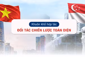 [Infographic] Quan hệ chính trị Việt Nam-Singapore