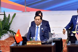 Phó Thủ tướng, Bộ trưởng Ngoại giao Bùi Thanh Sơn tham dự các hoạt động. (Ảnh: Bộ Ngoại giao)
