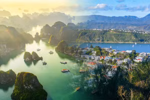 [Infographic] Quan hệ Đối tác chiến lược toàn diện Việt Nam-New Zealand