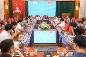Quang cảnh
