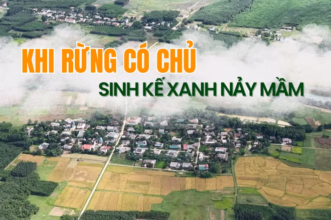 Khi rừng có chủ - Sinh kế xanh nảy mầm