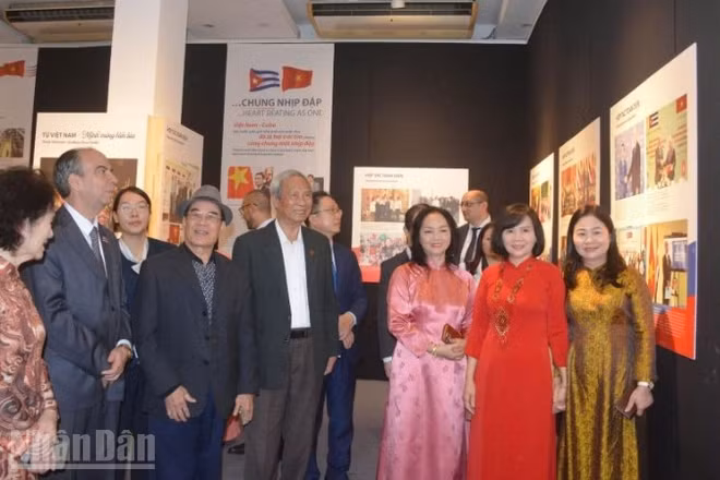 Các đại biểu tham quan triển lãm.