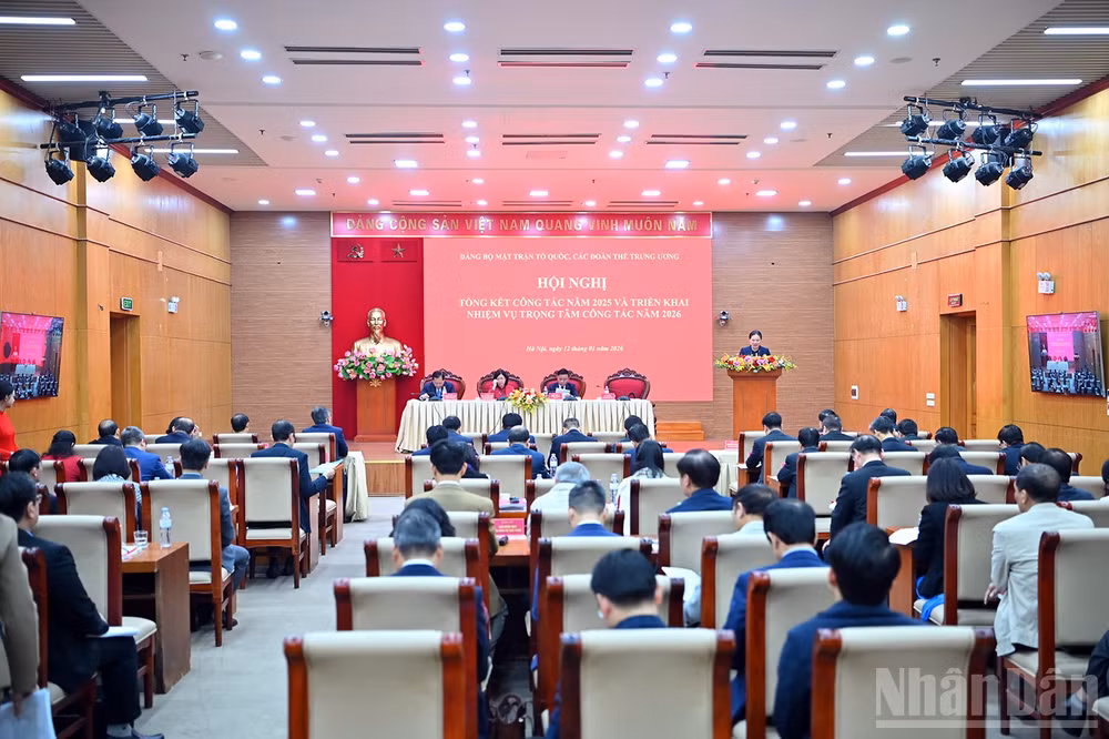 ndo_br_miu-9723.jpg