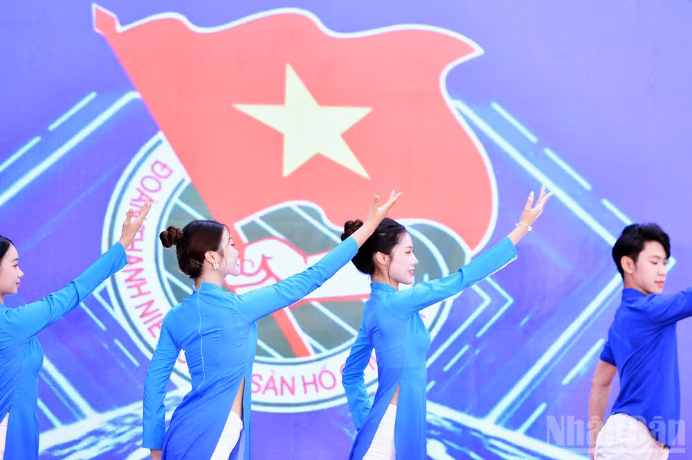ndo_br_miu-2620.jpg
