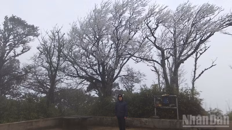 ndo_br_z7402619410258-4dc30c972987b7d98069fe0f8c6df6b6-8345.jpg