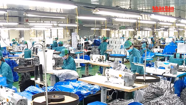 [Video] Doanh nghiệp được lựa chọn phương án nghỉ Tết 