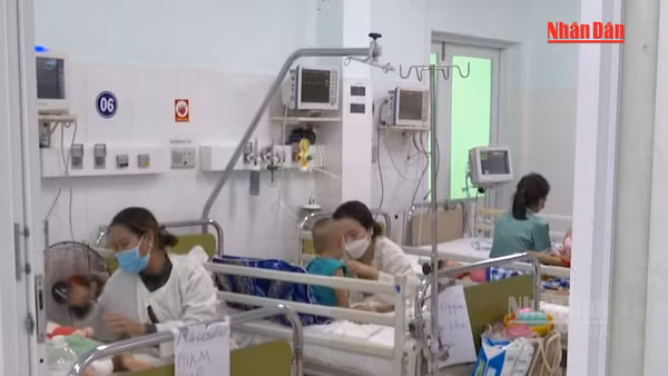 [Video] Giám sát chủ động phòng, chống bệnh truyền nhiễm 