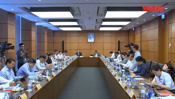 [Video] Thực hiện nhiều giải pháp, nỗ lực thực hiện mục tiêu tăng trưởng