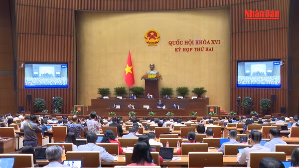 [Video] Hoàn thiện hành lang pháp lý cho kinh tế số