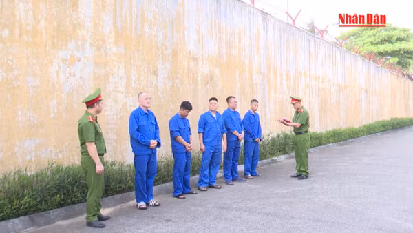 [Video] Ninh Bình triệt phá đường dây cá độ bóng đá hơn 710 tỷ đồng 