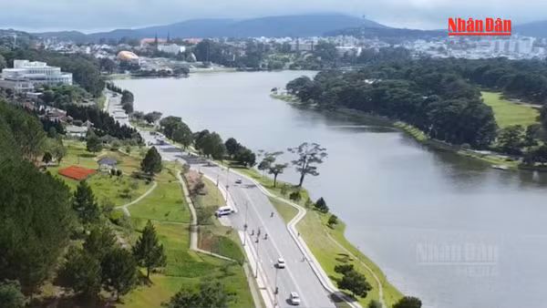 [Video] Thi công sửa chữa kè chống sạt lở cho hồ Xuân Hương Đà Lạt 