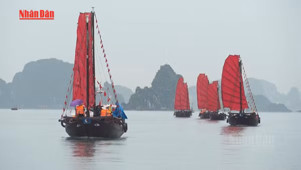 [Video] Trải nghiệm đi thuyền buồm ba vách trên vịnh Hạ Long