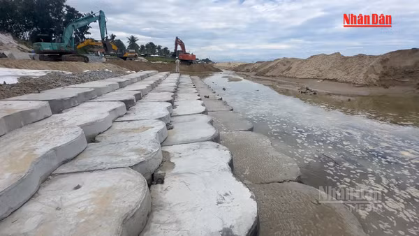 [Video] Nhộn nhịp trên công trường kè chống sạt lở trong kỳ nghỉ lễ 